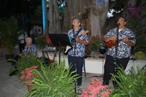 ukelele players